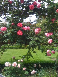 IMG_0127_2 IMG_0127_2