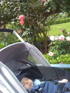 IMG_0128_2 IMG_0128_2